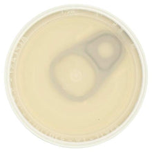 Load image into Gallery viewer, Antimo Caputo Lievito Active Dry Yeast 3.5 Ounce Can - Made in Italy - Perfect with 00 Flour