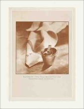 Load image into Gallery viewer, Nancy Silverton's Pastries from the La Brea Bakery