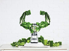 Load image into Gallery viewer, Breville BBL620SIL1AUS1 Fresh & Furious, 17.2" x 8.05" x 6.9", Silver