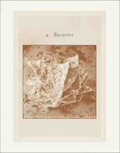 Load image into Gallery viewer, Nancy Silverton's Pastries from the La Brea Bakery