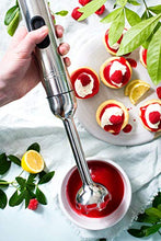 Load image into Gallery viewer, All-Clad Cordless Rechargeable Stainless Steel Immersion Multi-Functional Hand Blender, 5-Speed, Silver