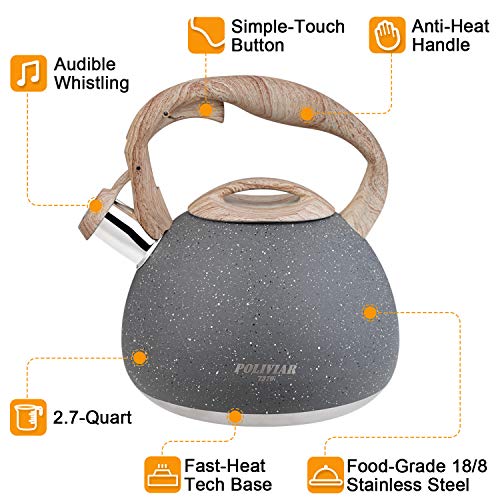 POLIVIAR Tea Kettle, 2.7 Quart Natural Stone Finish with Wood Pattern  Handle Loud Whistle Food Grade Stainless Steel Teapot, Anti-Hot Handle and  Anti-Rust, Suitable for All Heat Sources (JX2018-GR20) 