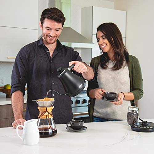 Precision Electric Gooseneck Pourover Coffee/Tea Kettle w/timer